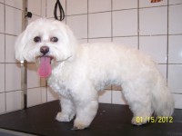 /album/fotogaleria/maltez-jpg/