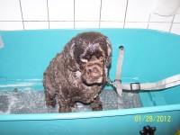 /album/fotogaleria/a000-0720-jpg/