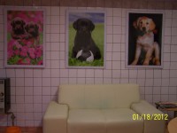 /album/fotogaleria/a000-0716-jpg/