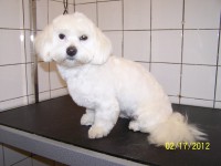 /album/fotogaleria/a000-0753-jpg/