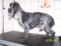 /album/fotogaleria/a000-0755-jpg/