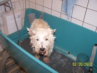 /album/fotogaleria/a000-0759-jpg/