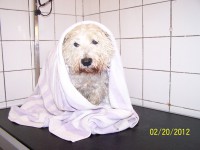 /album/fotogaleria/a000-0760-jpg/