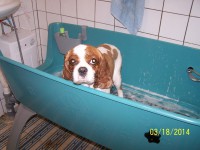 /album/fotogaleria/a000-0774-jpg/