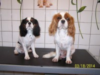 /album/fotogaleria/a000-0776-jpg/