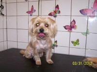 /album/fotogaleria/a000-0814-jpg/