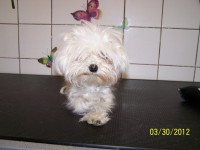 /album/fotogaleria/pred-jpg/