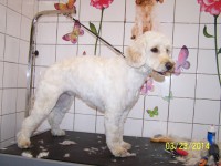 /album/fotogaleria/a000-0779-jpg/