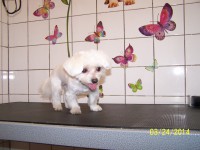 /album/fotogaleria/a000-0780-jpg/