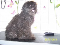 /album/fotogaleria/a000-0793-jpg/