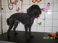 /album/fotogaleria/a000-0796-jpg/