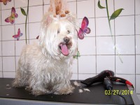 /album/fotogaleria/pred1-jpg/