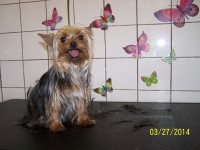 /album/fotogaleria/a000-0790-jpg/