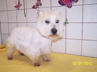 /album/fotogaleria/a655-jpg/