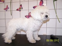 /album/fotogaleria/a000-0859-jpg/