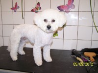 /album/fotogaleria/a000-0860-jpg/