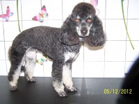 /album/fotogaleria/a000-0869-jpg/