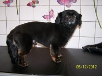 /album/fotogaleria/a000-0872-jpg/