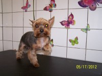 /album/fotogaleria/a000-0879-jpg/