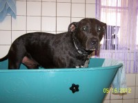 /album/fotogaleria/a000-0877-jpg/