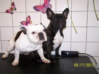 /album/fotogaleria/a000-0884-jpg/