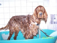 /album/fotogaleria/a000-0888-jpg/