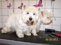 /album/fotogaleria/a000-0890-jpg/