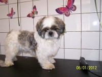 /album/fotogaleria/a000-0901-jpg/