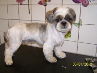 /album/fotogaleria/a000-0903-jpg/