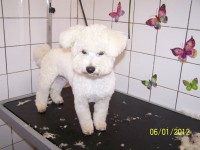 /album/fotogaleria/a000-0908-jpg/