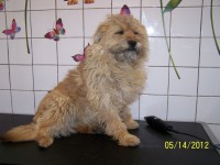 /album/fotogaleria/kriz-jpg/