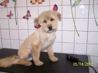 /album/fotogaleria/kri-jpg/