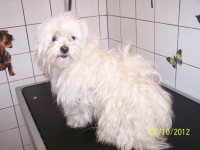 /album/fotogaleria/a000-0913-jpg/