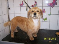 /album/fotogaleria/a000-0923-jpg/