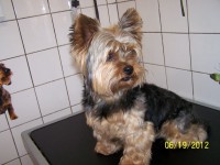 /album/fotogaleria/a000-0925-jpg/