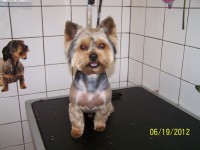 /album/fotogaleria/a000-0927-jpg/