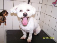 /album/fotogaleria/a000-0933-jpg/