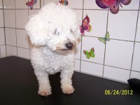 /album/fotogaleria/a000-0937-jpg/