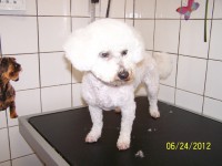 /album/fotogaleria/a000-0939-jpg/