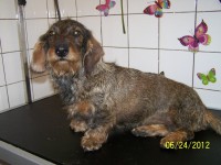 /album/fotogaleria/a000-0940-jpg/