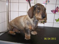 /album/fotogaleria/a000-0941-jpg/