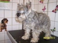 /album/fotogaleria/a000-0942-jpg/