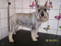 /album/fotogaleria/a000-0944-jpg/