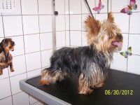 /album/fotogaleria/a000-0955-jpg/