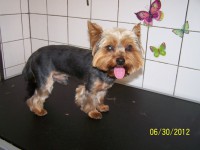 /album/fotogaleria/a000-0958-jpg/