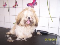 /album/fotogaleria/a000-0959-jpg/