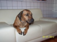 /album/fotogaleria/a000-0982-jpg/