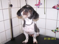 /album/fotogaleria/a000-0988-jpg/