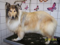 /album/fotogaleria/a000-0994-jpg/