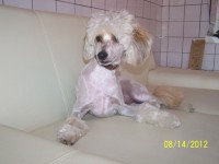 /album/fotogaleria/a000-0996-jpg/